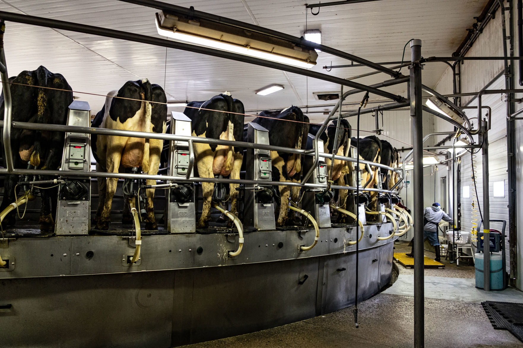 Gar-Lin milking parlour carousel